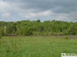 5442 Dean Road Stockton, NY 14784 - Photo 1 of 1