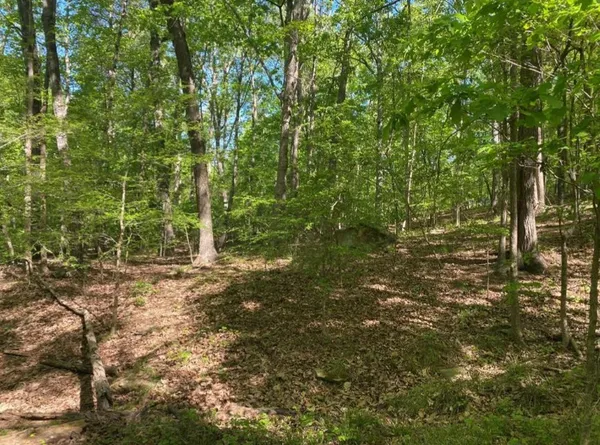 $5,000 | 104 Tomahawk Court, Westminster, SC 29693