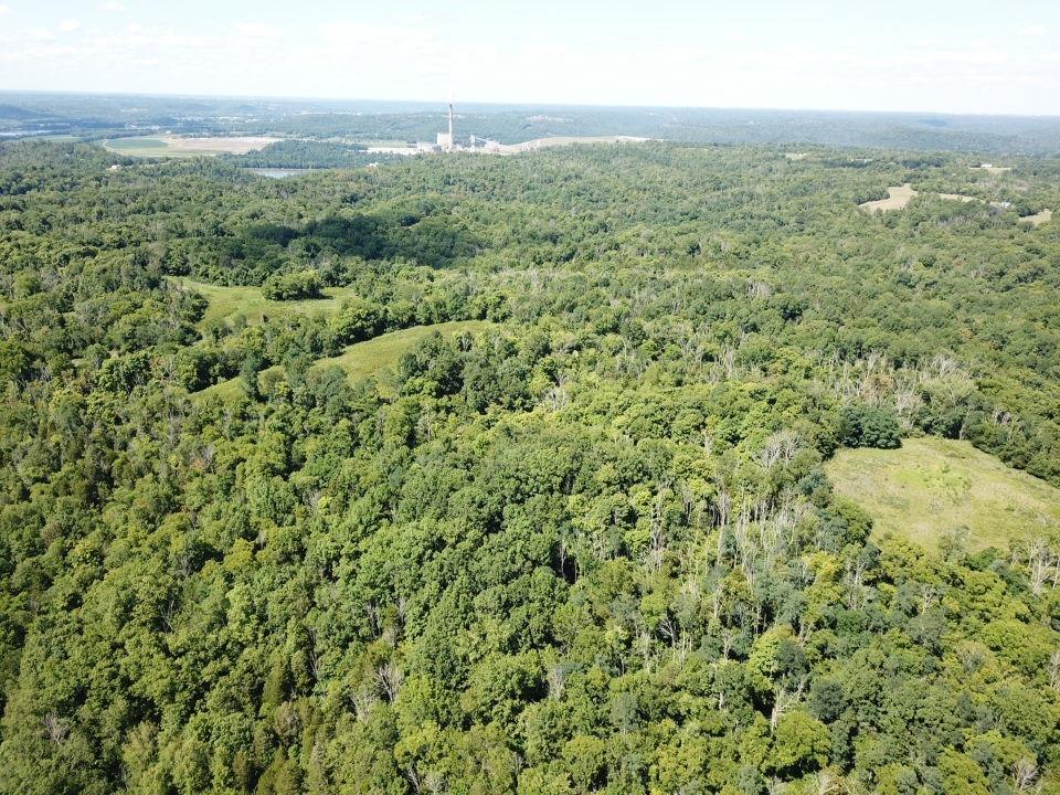 13004 North Branch Road Patriot, IN 47038 - Photo 3 of 48