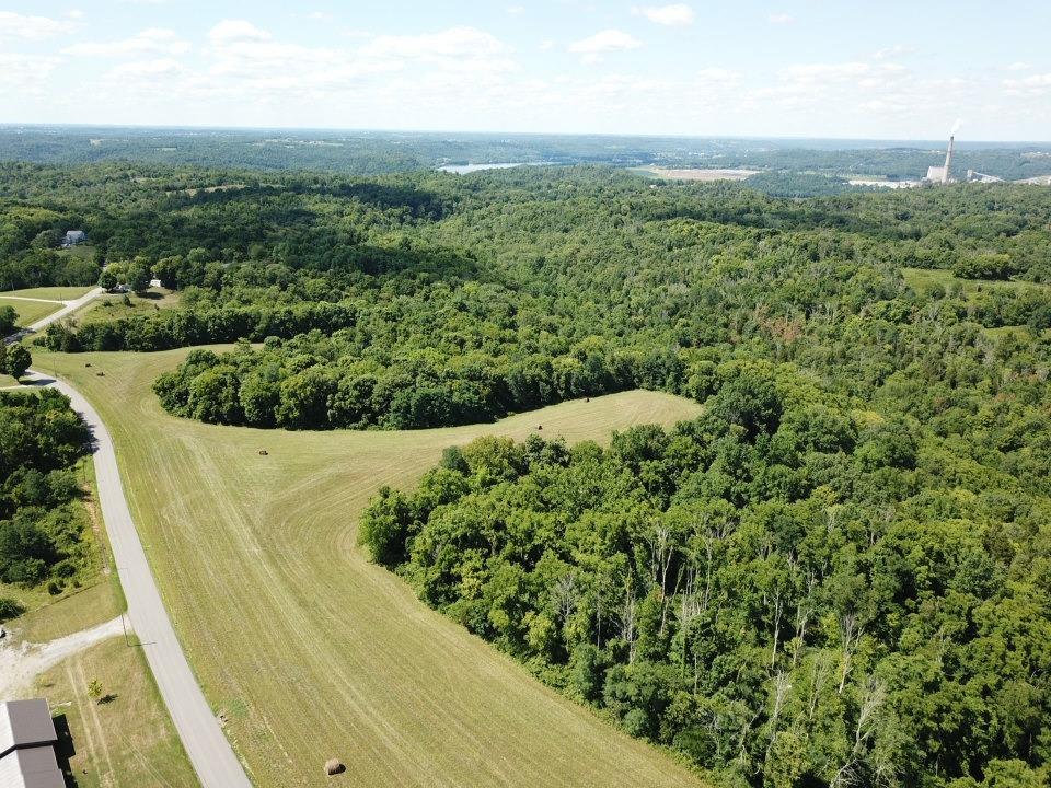 13004 North Branch Road Patriot, IN 47038 - Photo 4 of 48