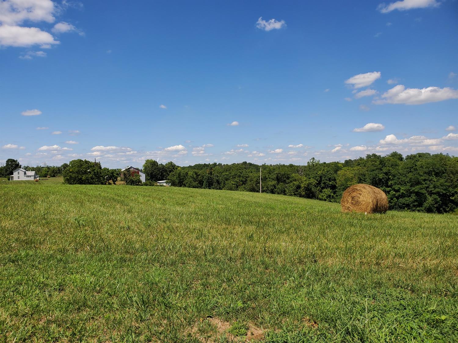13004 North Branch Road Patriot, IN 47038 - Photo 9 of 48