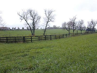 0 Duvall Station Road Georgetown, KY 40324 - Photo 1 of 1 Photo 1