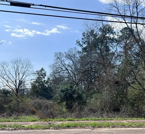$15,000 | 0 Broad Street, Richland, GA 31825