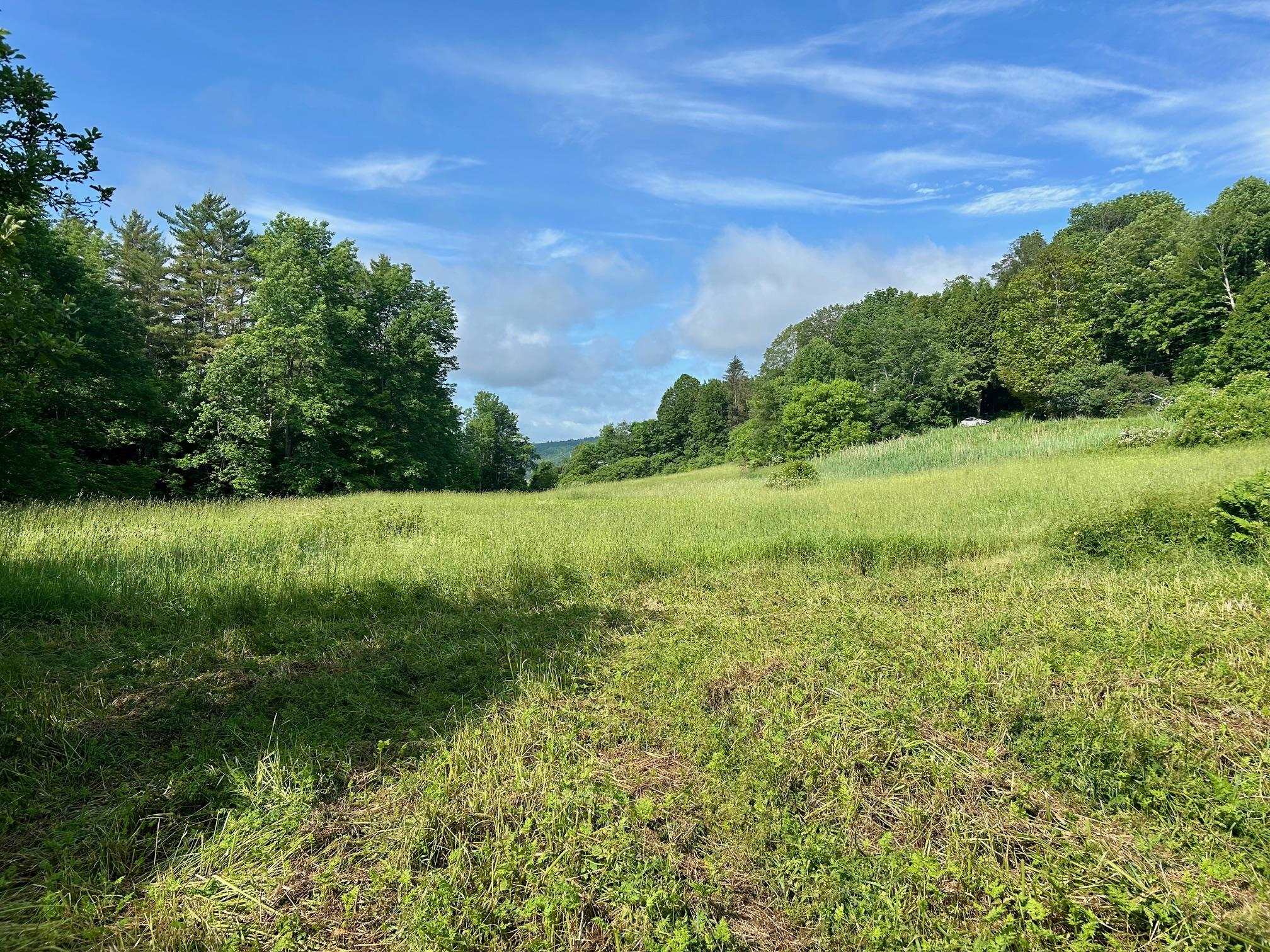 0 Dairy Hill Road South Royalton, VT 05068 - Photo 4 of 12