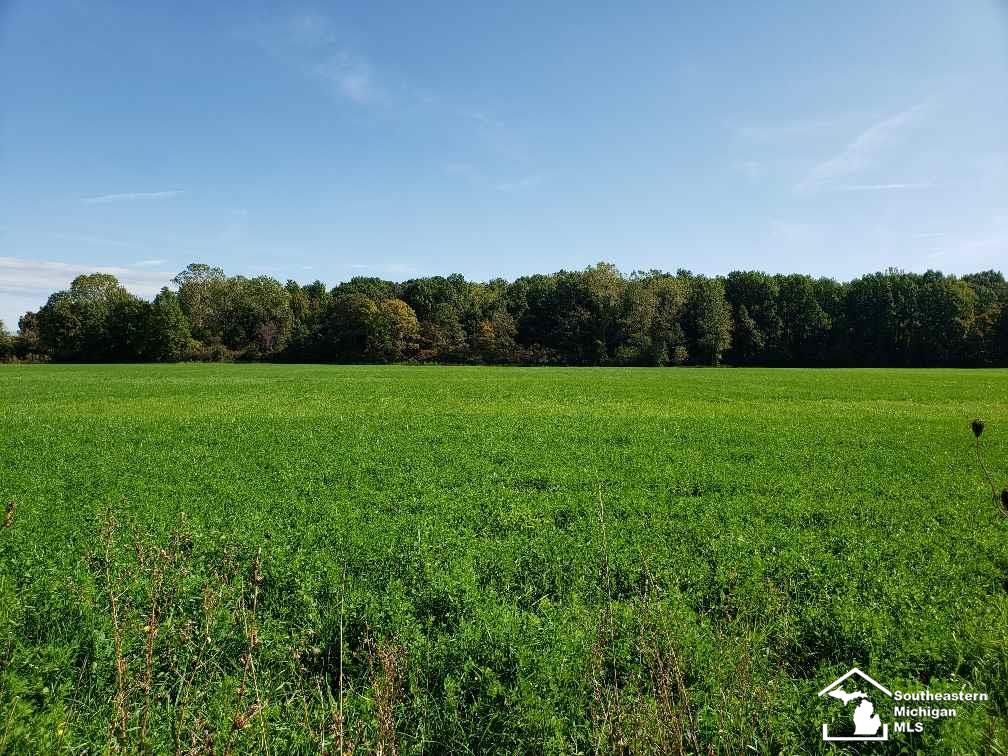 0 North County Line Road Deerfield, MI 49238 - Photo 2 of 5