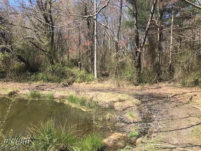 0 Austin Little Mountain Road Elkin, NC 28621 - Photo 3 of 18 Gallery Image 3