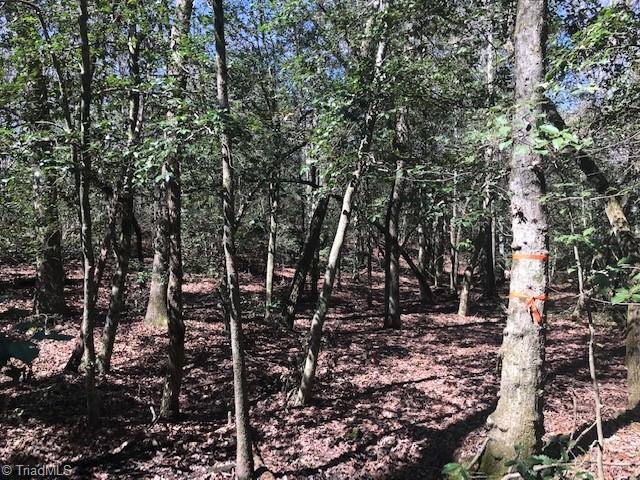 0 Austin Little Mountain Road Elkin, NC 28621 - Photo 8 of 18 Gallery Image 8