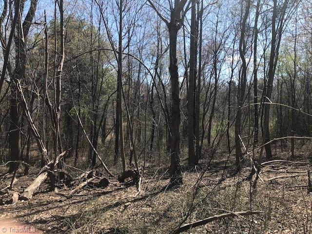 0 Austin Little Mountain Road Elkin, NC 28621 - Photo 10 of 18 Gallery Image 10