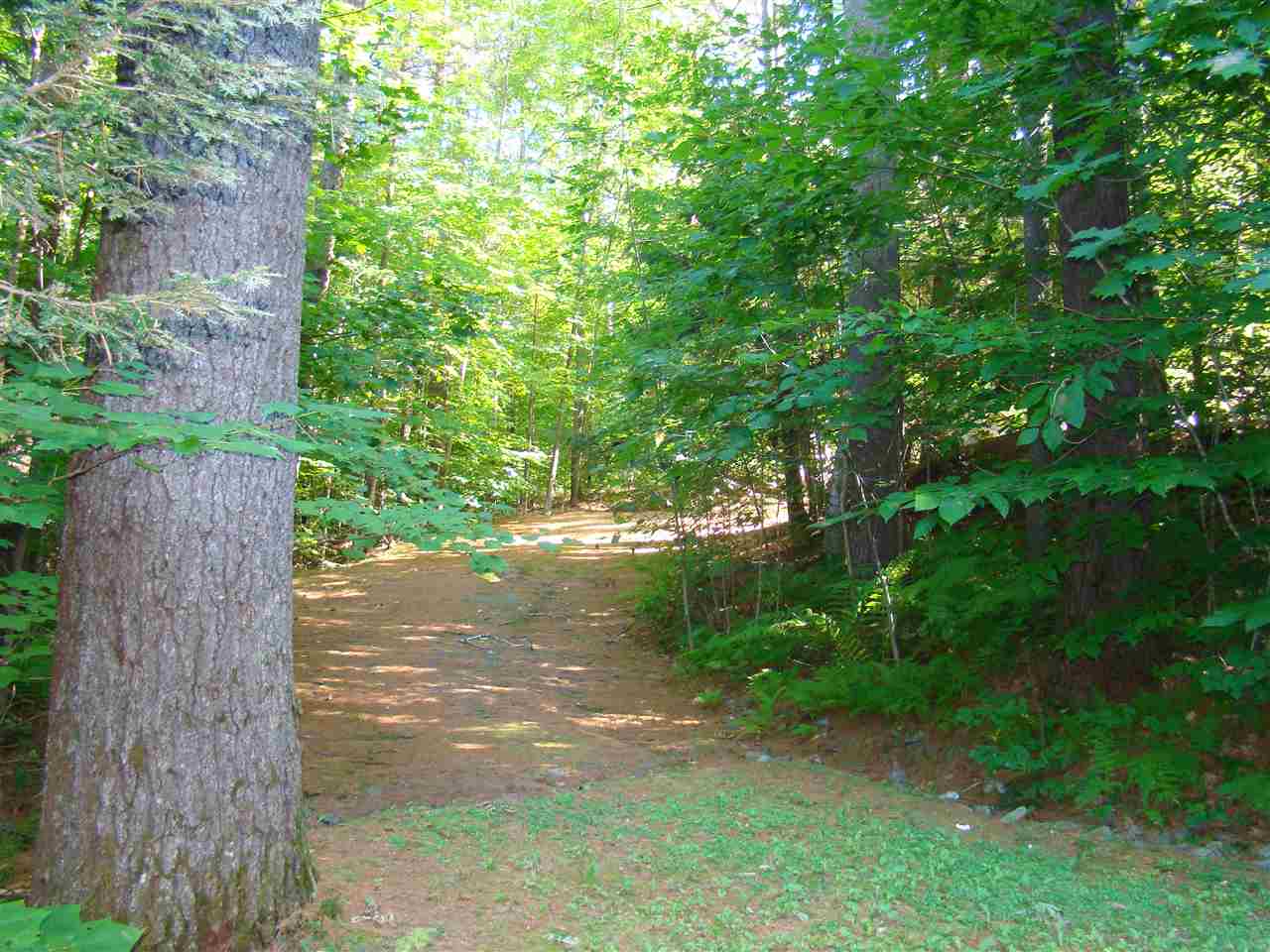 Leavitt Hill Road Ashland, NH 03217 - Photo 13 of 18