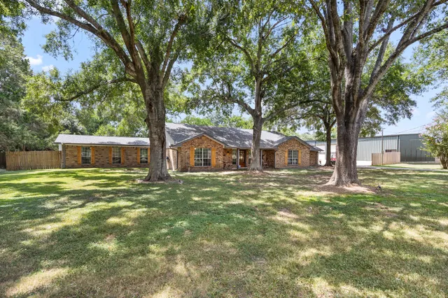 a view of a trees in a yard with large trees