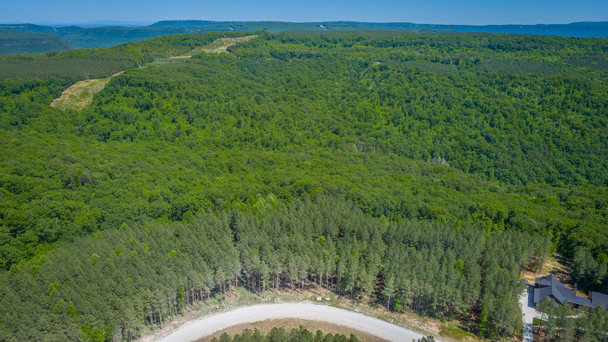 0 Split Rail Way Whiteside, TN 37396 - Photo 59 of 100 Gallery Image 59