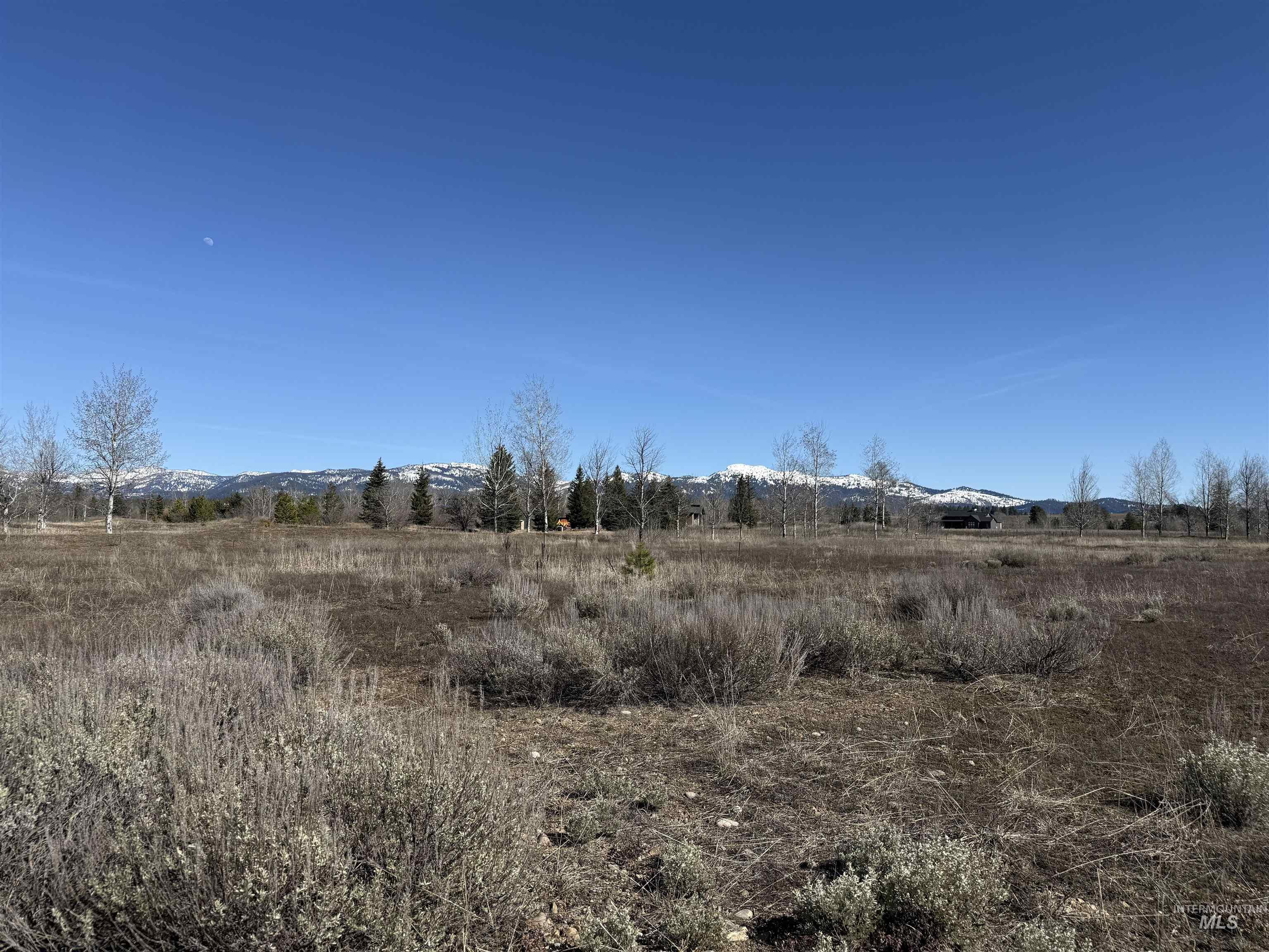 Tbd Lot 15 Tbd Loop McCall, ID 83638 - Photo 12 of 15 Looking east toward Jug Mountain.