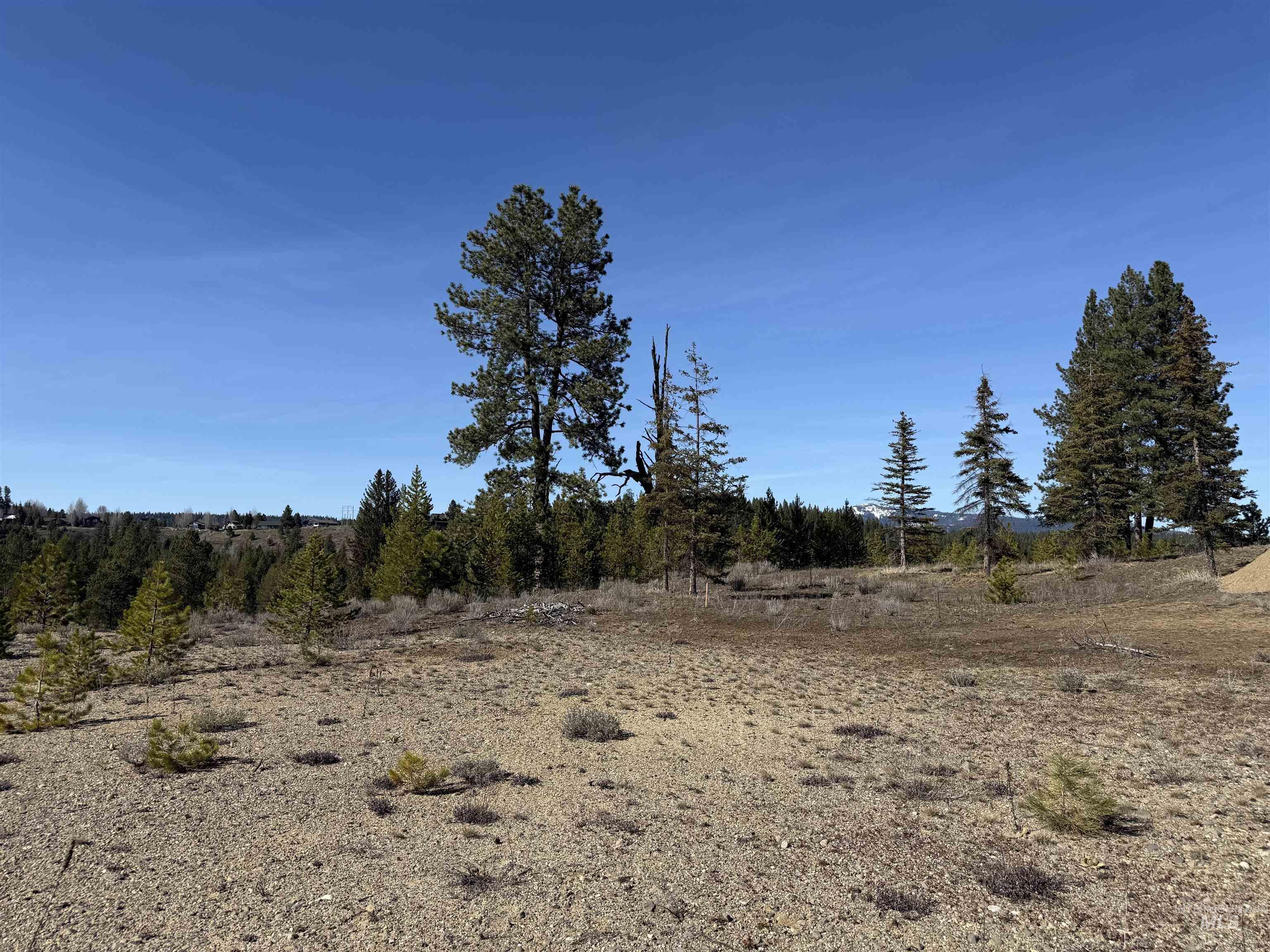 Tbd Lot 15 Tbd Loop McCall, ID 83638 - Photo 15 of 15 Looking northwest toward Brundage.
