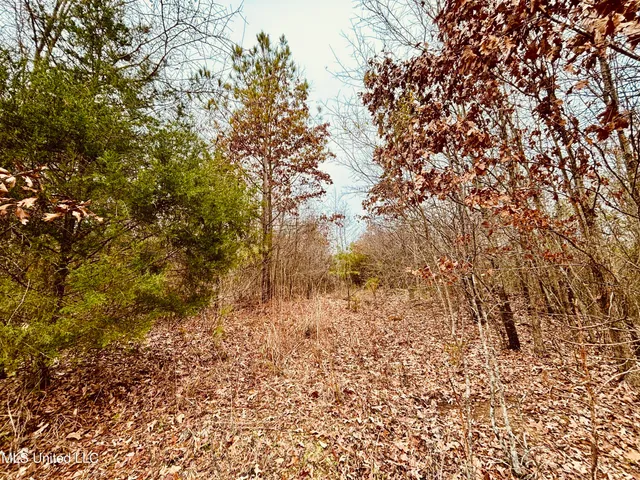 $320,000 | 0 South Frontage Road, Winona, MS 38967