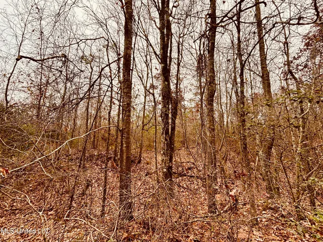 $320,000 | 0 South Frontage Road, Winona, MS 38967