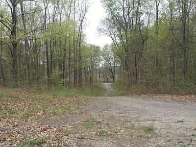 79315 County Road 681 Decatur, MI 49045 - Photo 2 of 8 Additional Photo