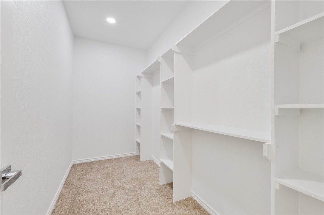 1108 Richard Street, Unit A Bryan, TX 77803 - Photo 20 of 22 Walk in closet with carpet floors