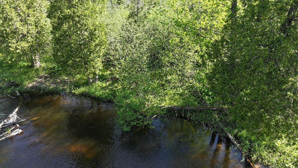 V/l West Pomeroy Springs Road Irons, MI 49644 - Photo 8 of 27 DJI_20260526094752_0373_D