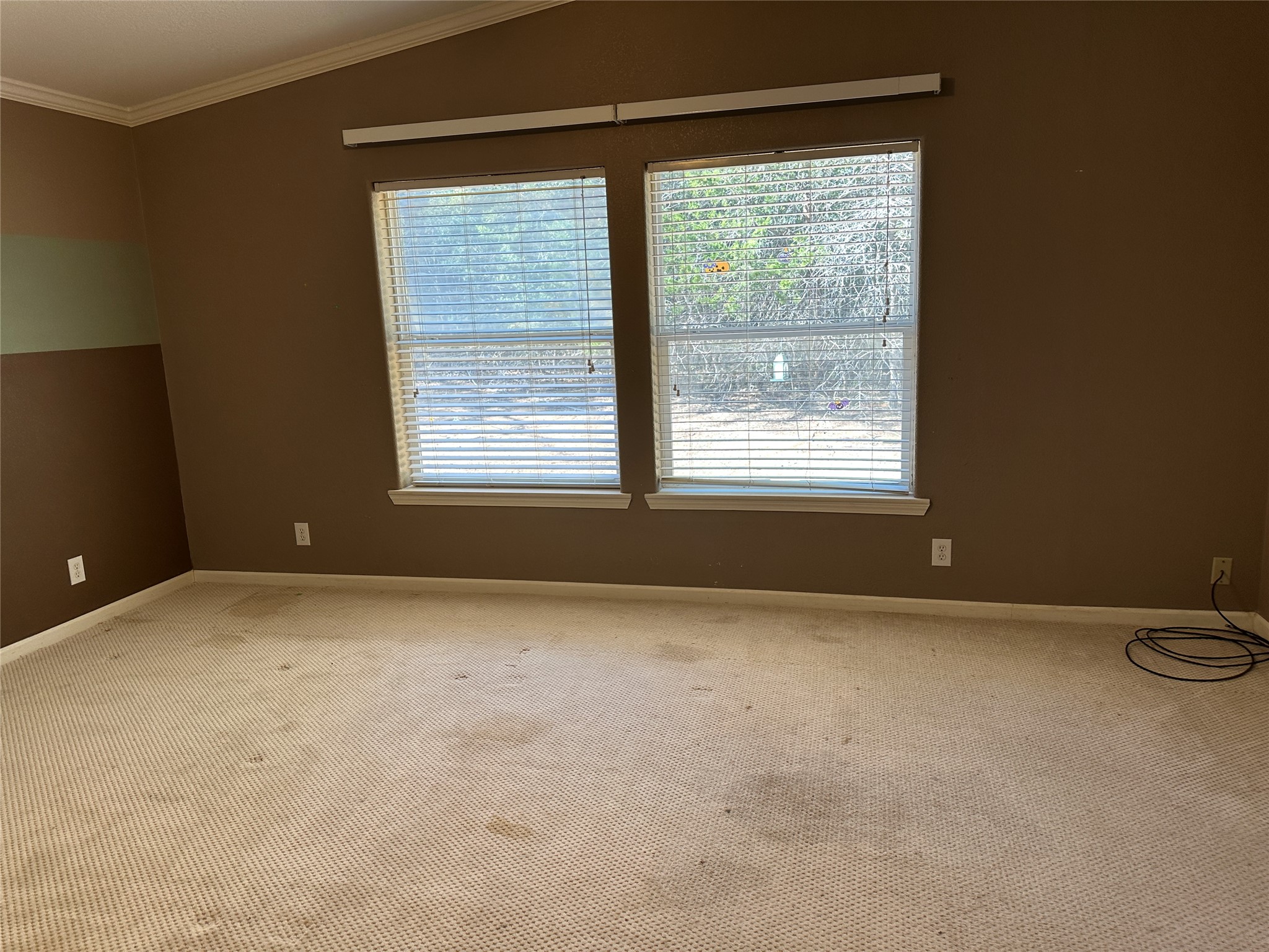 438 Mt Olive Road, Unit A Cedar Creek, TX 78612 - Photo 14 of 27 Carpeted spare room with ornamental molding and lofted ceiling