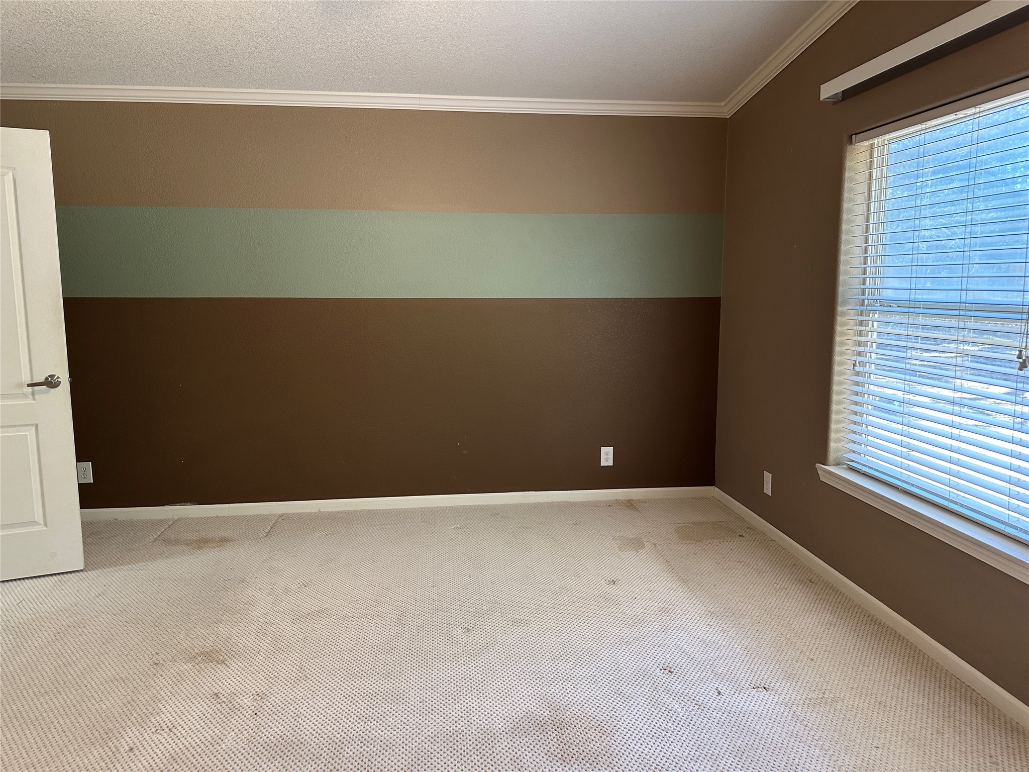 438 Mt Olive Road, Unit A Cedar Creek, TX 78612 - Photo 16 of 27 Carpeted empty room with crown molding