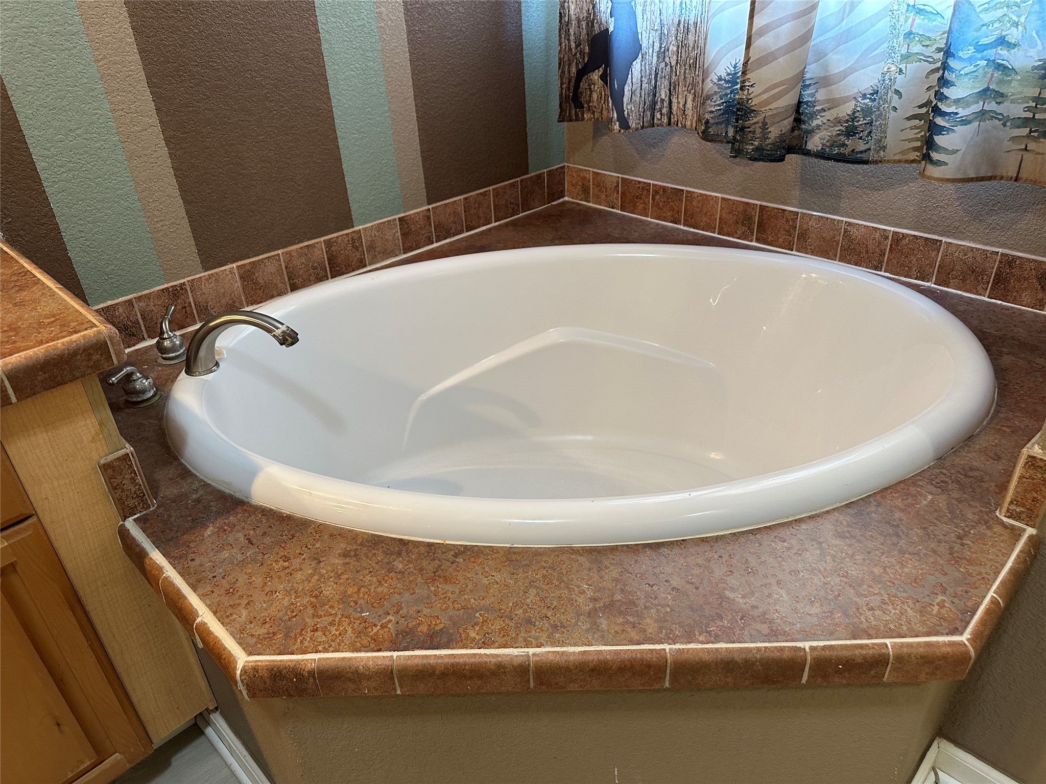 438 Mt Olive Road, Unit A Cedar Creek, TX 78612 - Photo 18 of 27 Primary bathroom soaking tub.