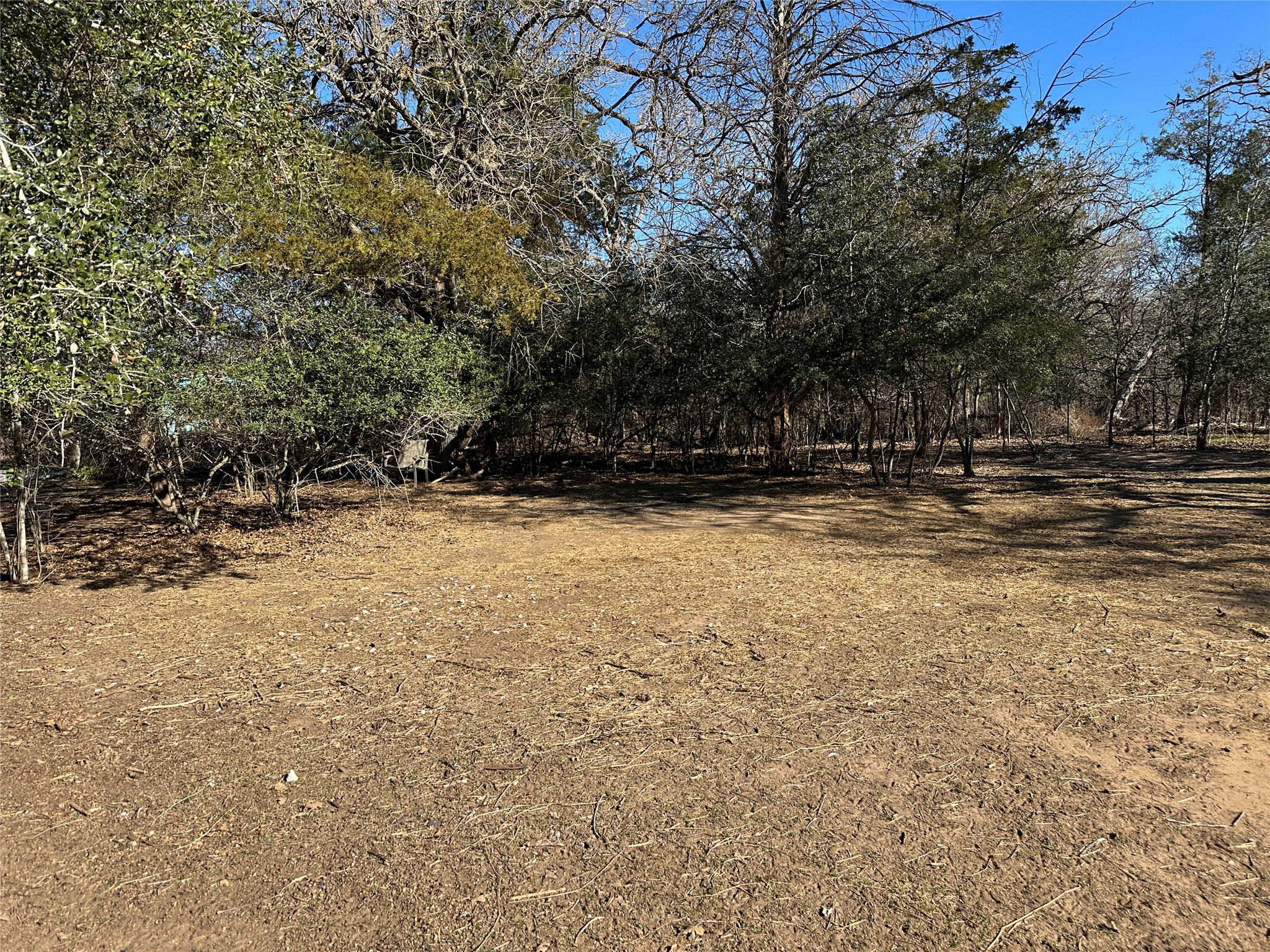 438 Mt Olive Road, Unit A Cedar Creek, TX 78612 - Photo 24 of 27 View of yard