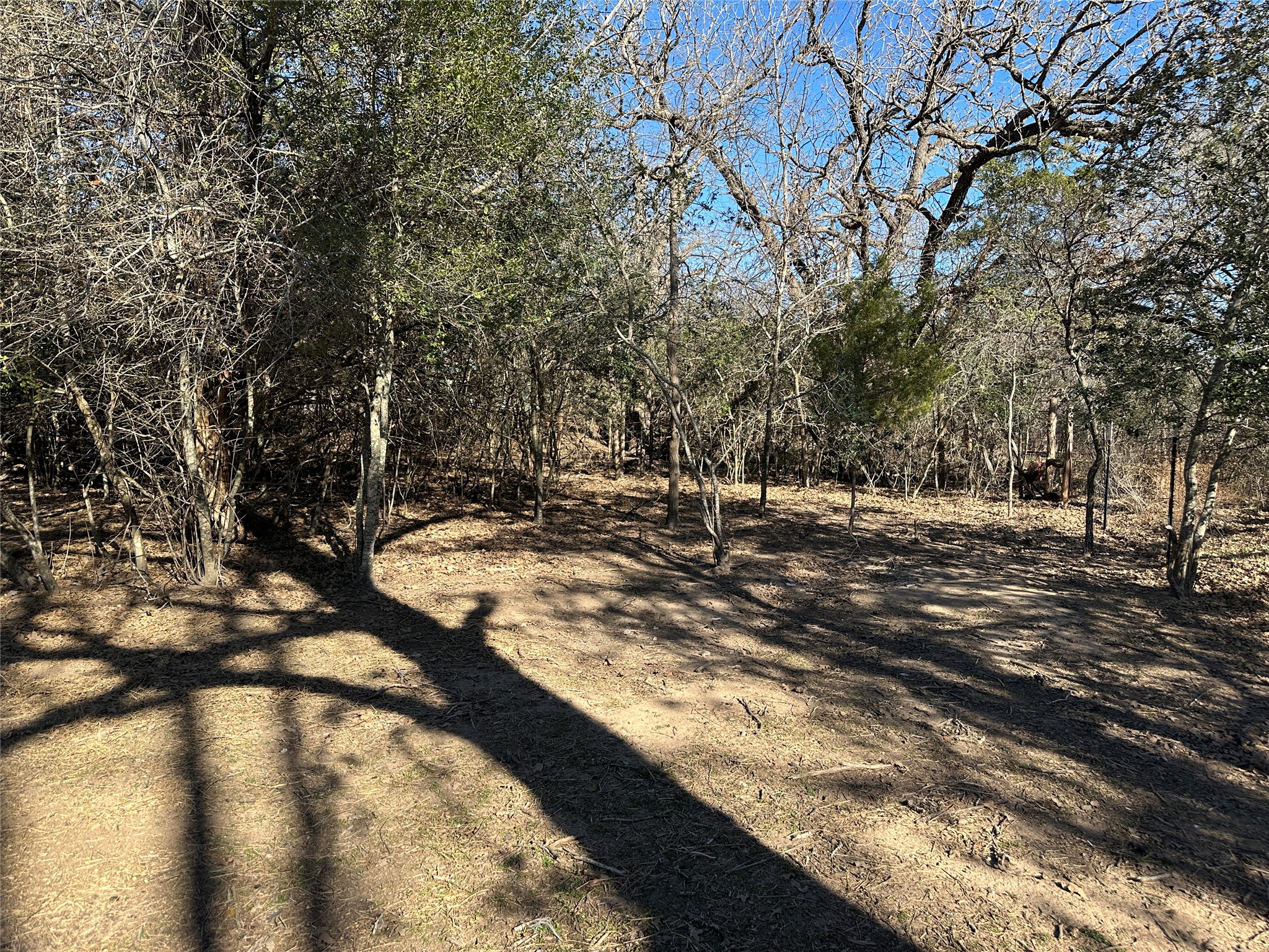 438 Mt Olive Road, Unit A Cedar Creek, TX 78612 - Photo 26 of 27 View of yard