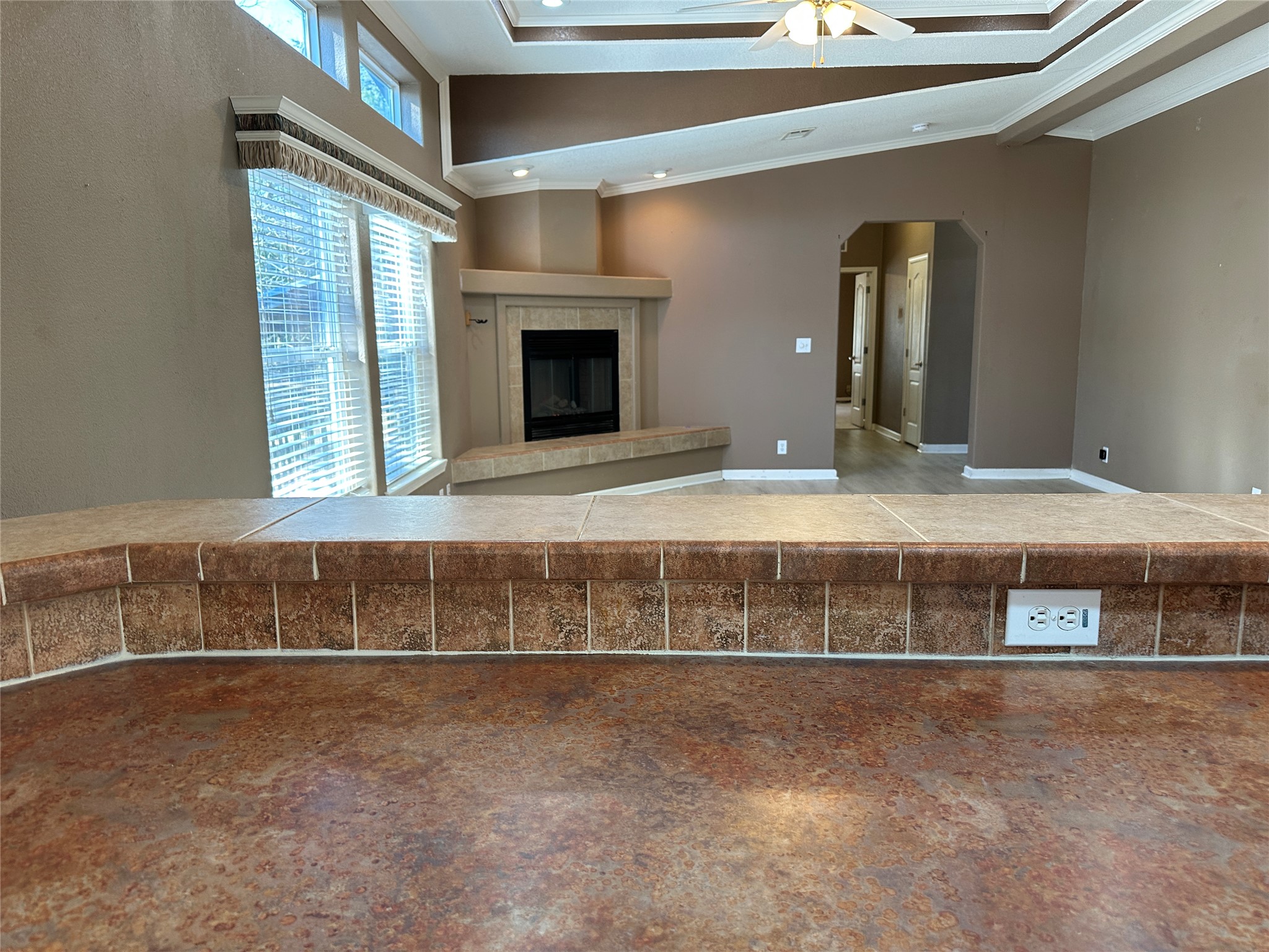 438 Mt Olive Road, Unit A Cedar Creek, TX 78612 - Photo 10 of 27 Living room with a fireplace, crown molding, ceiling fan, arched walkways, and recessed lighting