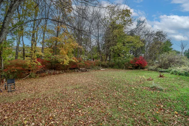 a view of backyard with green space