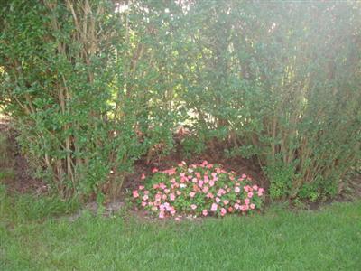 175 Commercial Street Wellfleet, MA 02667 - Photo 16 of 16 Additional Photo