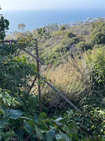 a view of a houses with a forest