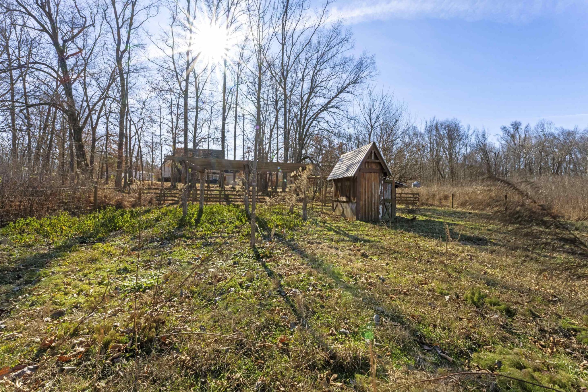 755 Bobbitt Road Williston, TN 38076 - Photo 31 of 32 Gallery Image 31