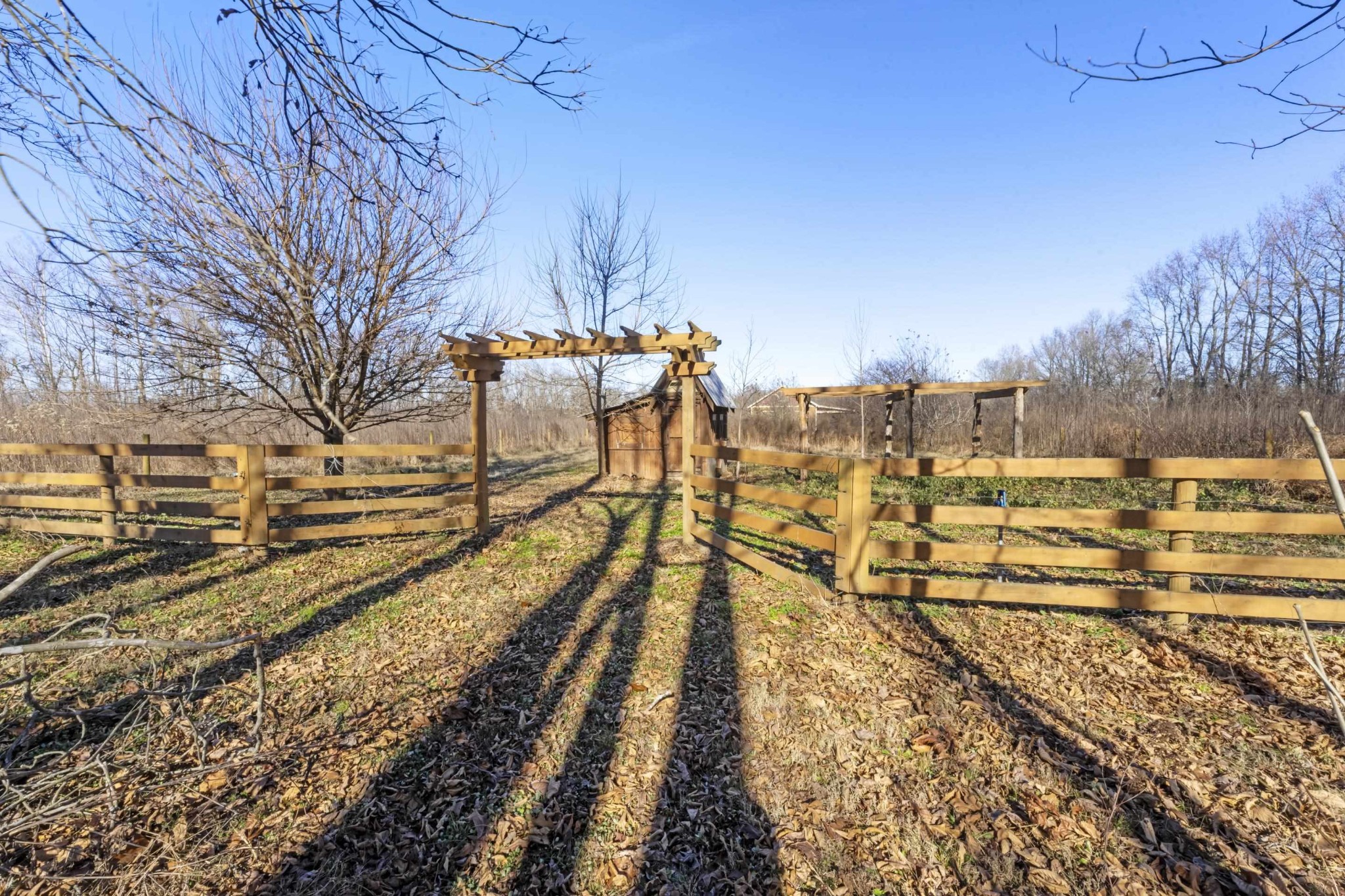 755 Bobbitt Road Williston, TN 38076 - Photo 8 of 32 Gallery Image 8