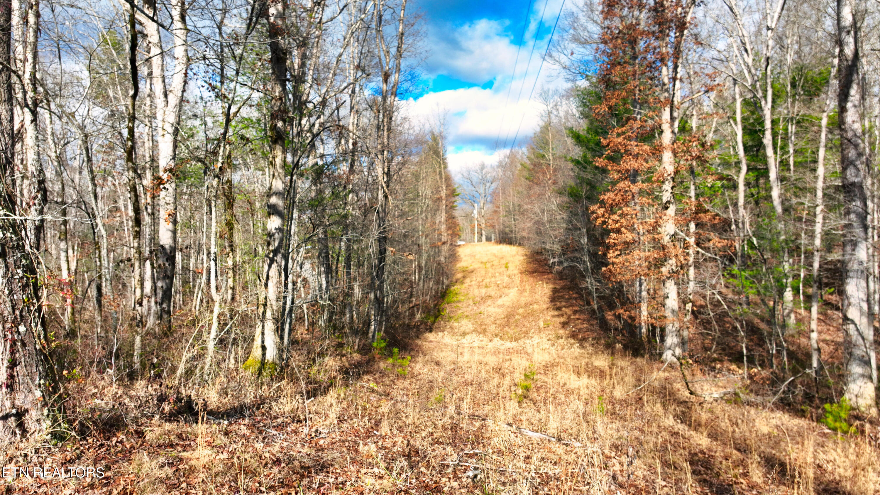 0 Jr Hall Road Sunbright, TN 37872 - Photo 8 of 8 beyc6a22036bd9b22