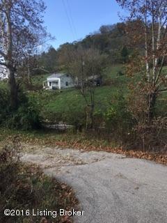 3166 Whites Run Road Carrollton, KY 41008 - Photo 1 of 14 IMG_0539