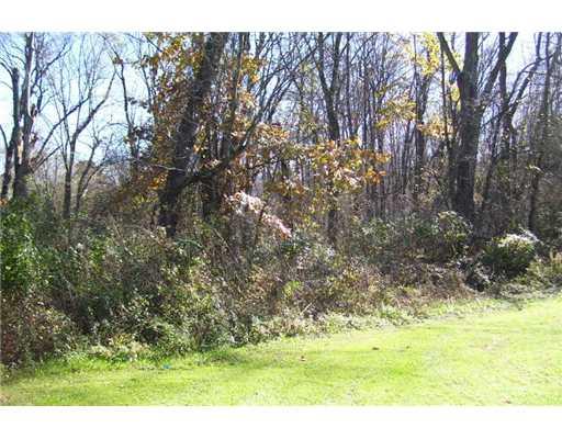 Lr26032 Upper Middletown Road Smock, PA 15480 - Photo 4 of 6 Land/Lot.
