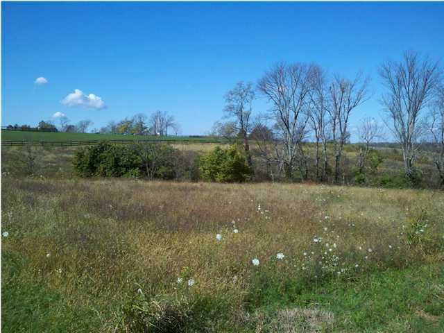 15 McCoun Road Smithfield, KY 40068 - Photo 1 of 1 Primary Photo