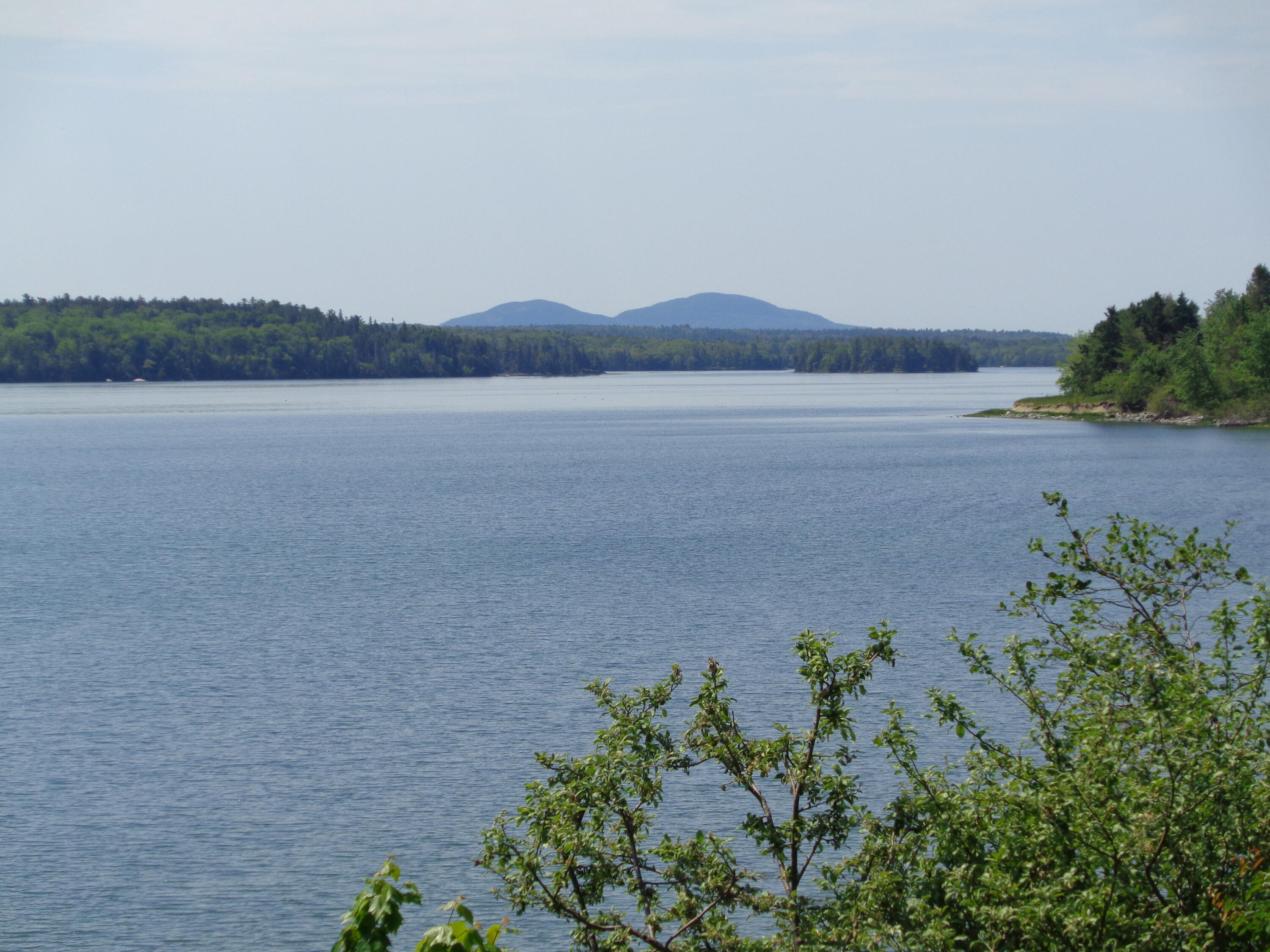 55 Fox Run Lamoine, ME 04605 - Photo 46 of 63 Western Mountains