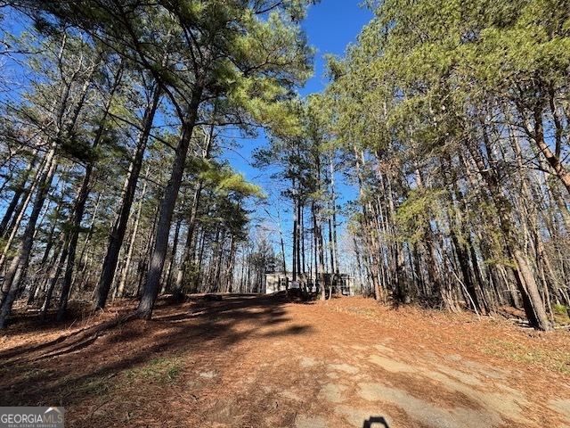 300 Dug Down Road Buchanan, GA 30113 - Photo 27 of 35