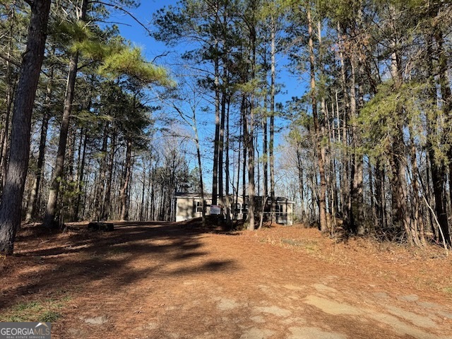 300 Dug Down Road Buchanan, GA 30113 - Photo 28 of 35