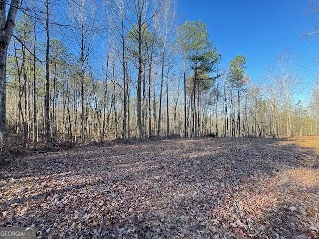 $259,900 | 300 Dug Down Road, Buchanan, GA 30113