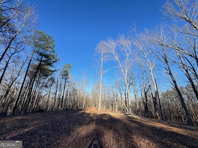 300 Dug Down Road Buchanan, GA 30113 - Photo 31 of 35