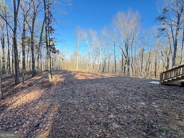 300 Dug Down Road Buchanan, GA 30113 - Photo 33 of 35