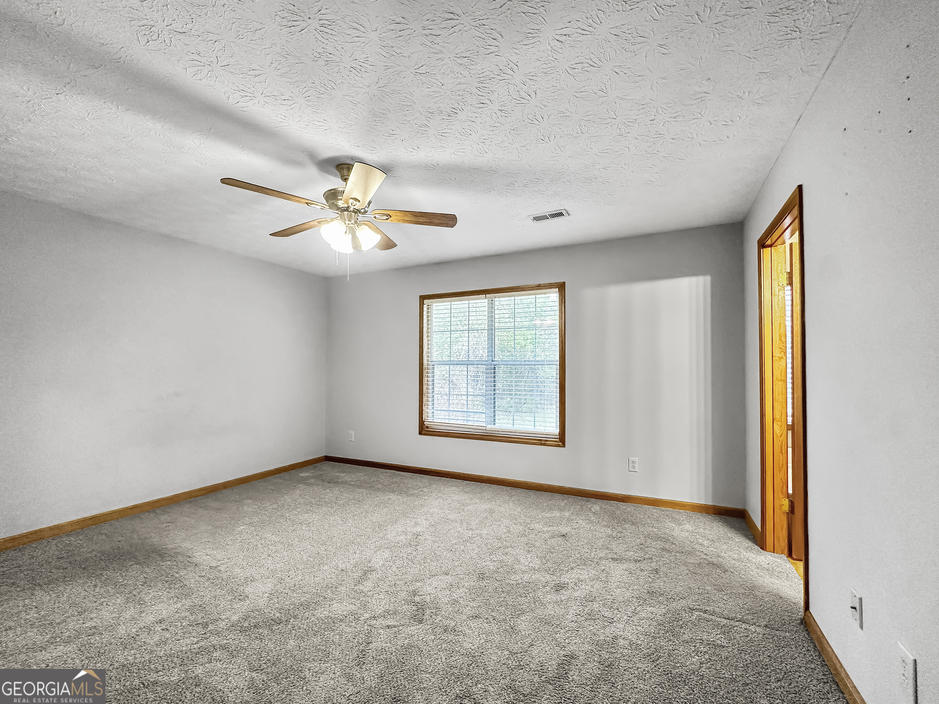 290 Cornwallis Way Fayetteville, GA 30214 - Photo 9 of 18 an empty room with windows and ceiling fan