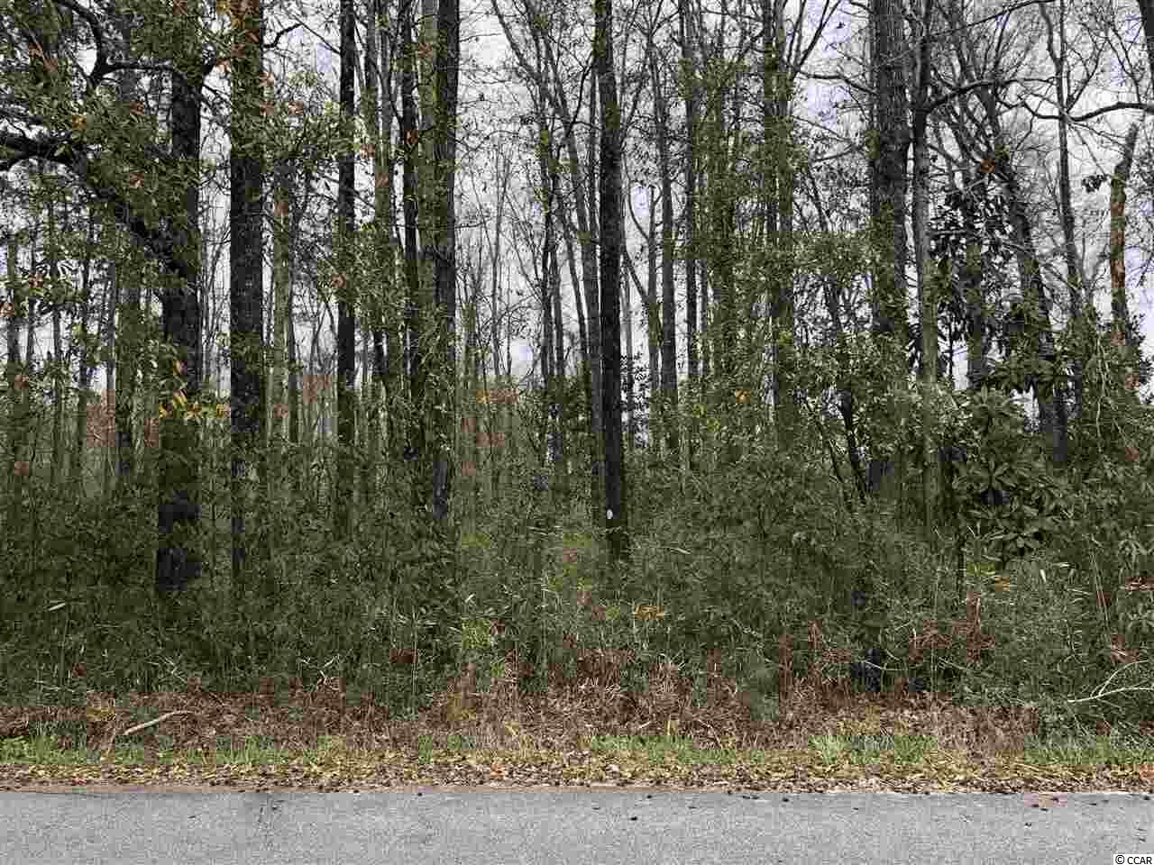 Tbd South Bend Street Loris, SC 29569 - Photo 1 of 12 Gallery Image 1