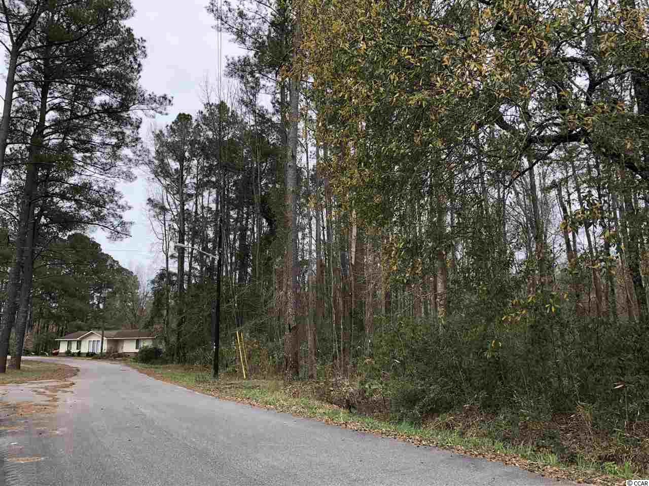 Tbd South Bend Street Loris, SC 29569 - Photo 2 of 12 Gallery Image 2