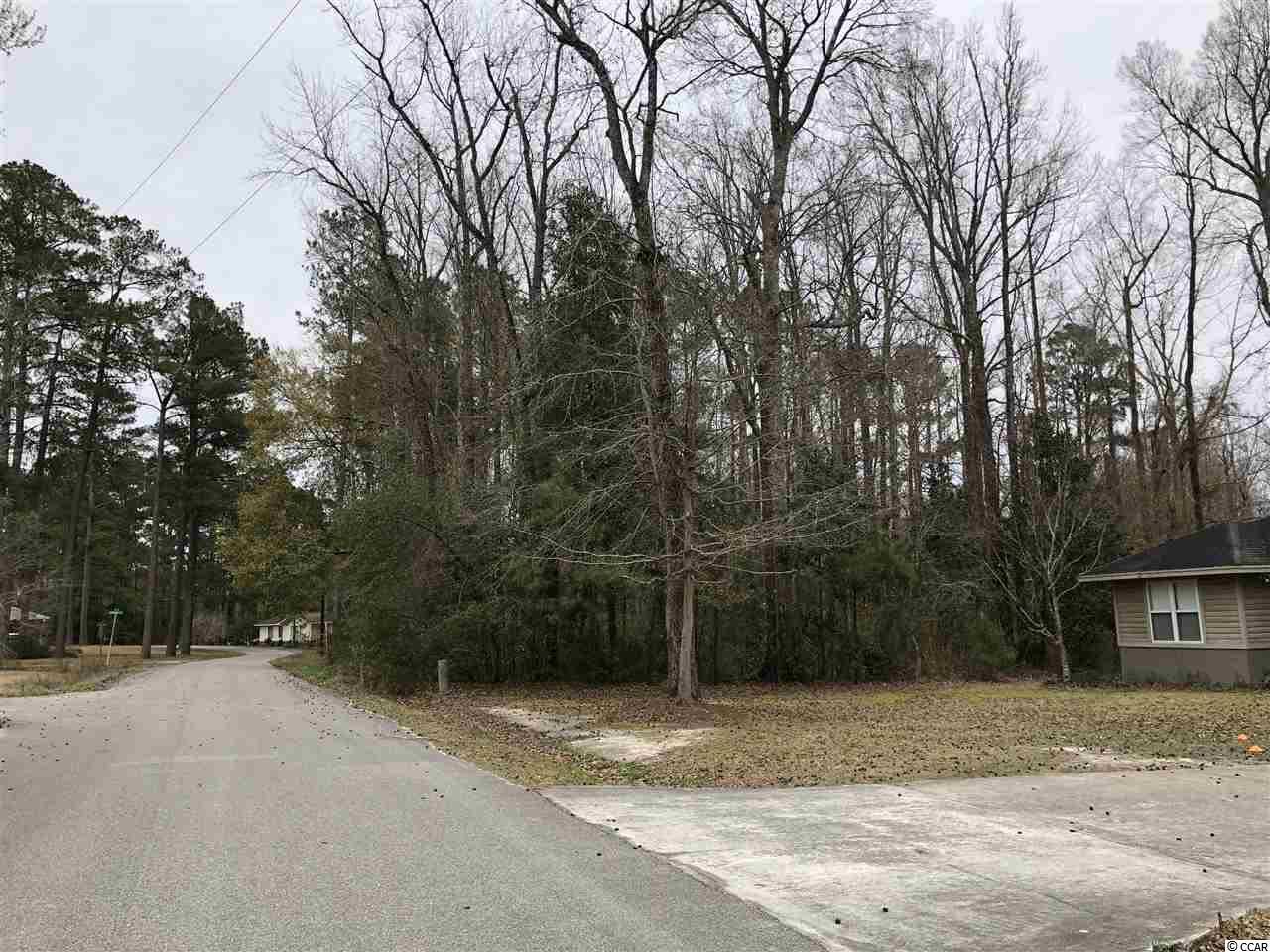 Tbd South Bend Street Loris, SC 29569 - Photo 11 of 12 Gallery Image 11