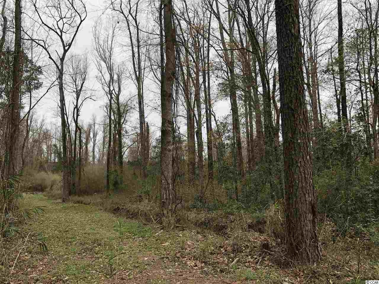 Tbd South Bend Street Loris, SC 29569 - Photo 12 of 12 Gallery Image 12