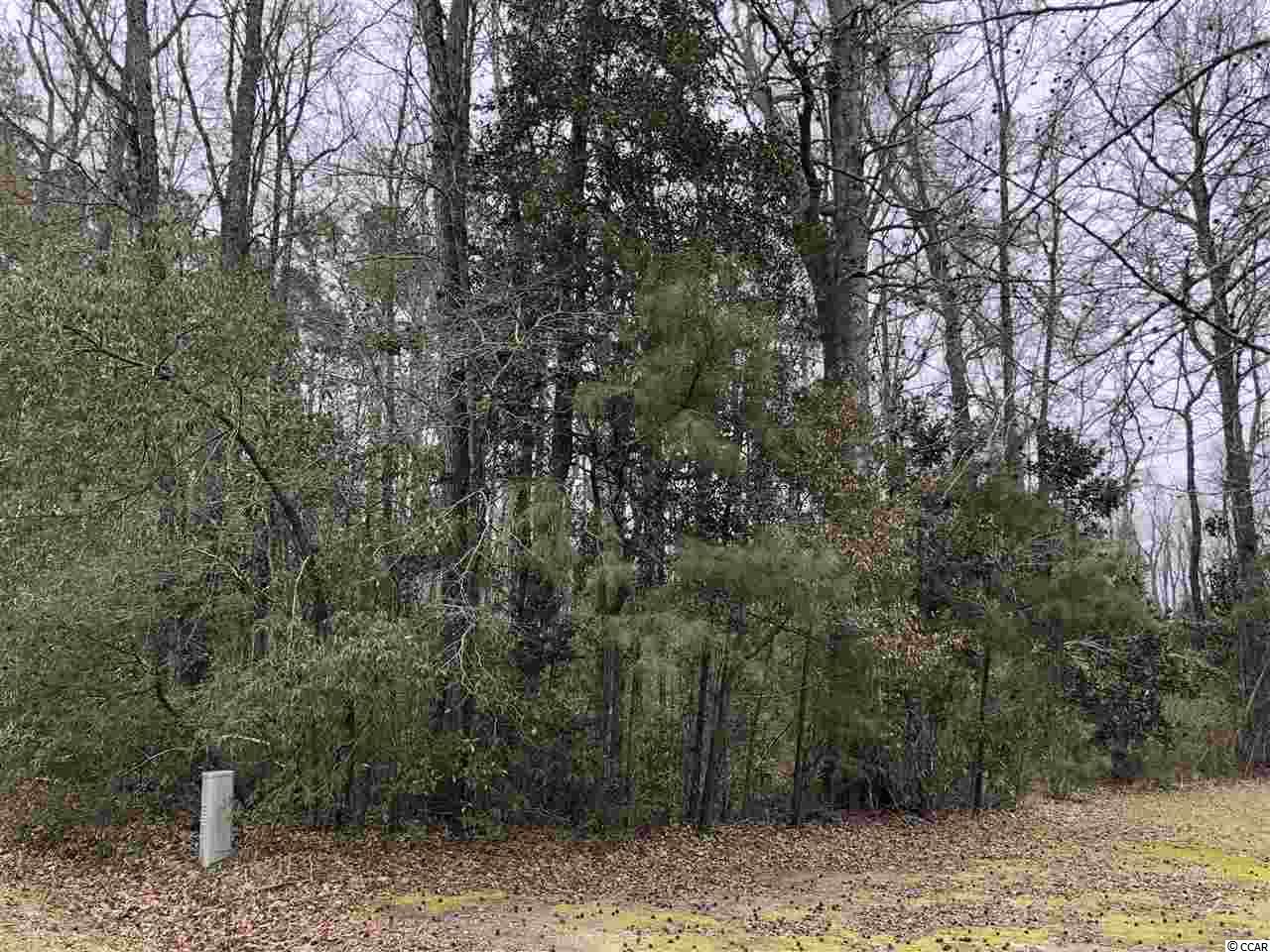 Tbd South Bend Street Loris, SC 29569 - Photo 3 of 12 Gallery Image 3