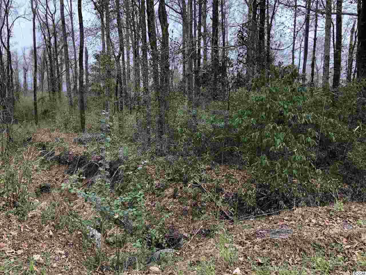 Tbd South Bend Street Loris, SC 29569 - Photo 5 of 12 Gallery Image 5